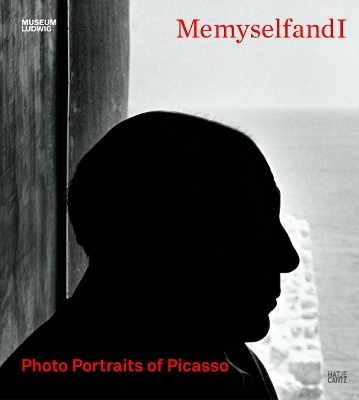 MemyselfandI book