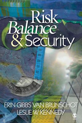 Risk Balance and Security book