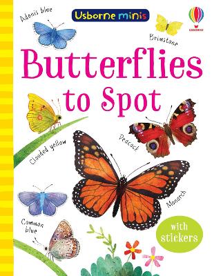 Butterflies to Spot book