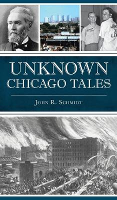 Unknown Chicago Tales book