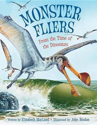 Monster Fliers: From the Time of the Dinosaurs book