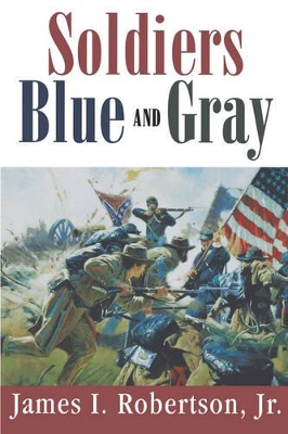 Soldiers Blue and Gray book
