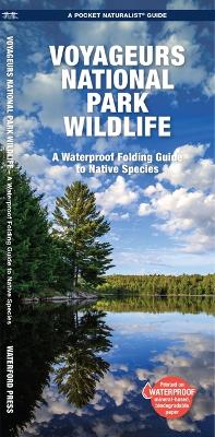 Voyageurs National Park Wildlife: A Folding Pocket Guide to Native Species book