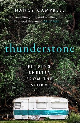 Thunderstone: Finding Shelter from the Storm book