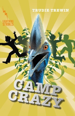 Lightning Strikes: Camp Crazy book