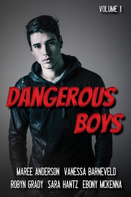 Dangerous Boys: Down Under YA Authors Present book