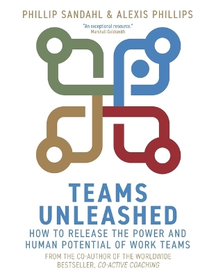 Teams Unleashed: How to Release the Power and Human Potential of Work Teams book