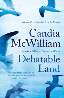 Debatable Land by Candia McWilliam