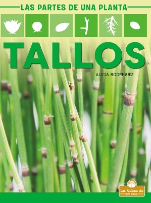 Tallos (Stems) by Alicia Rodriguez