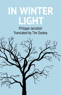 In Winter Light book
