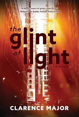 The Glint of Light book