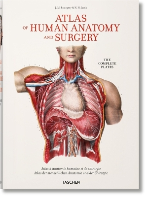 Bourgery. Atlas de Anatomía Humana Y Cirugía by Henri Sick